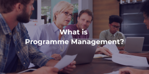 What is Programme Management?