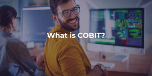 What is COBIT?