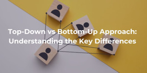 Top-down vs Bottom-up Approach: Key Differences