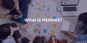 What is HERMES