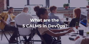 5 CALMS in Devops